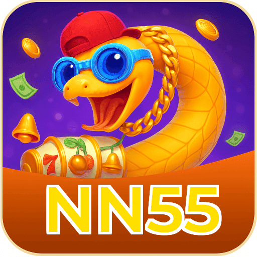 NN55
